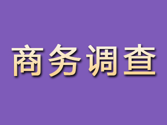 隰县商务调查